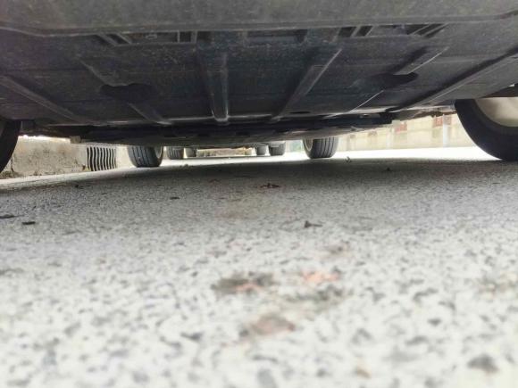 [上海·沪A] 二手欧拉欧拉好猫2023款 401km标准续航 尊荣型 磷酸铁锂