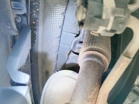 [深圳·粤B] 二手smartsmart forfour2016款 1.0L 52千瓦灵动版