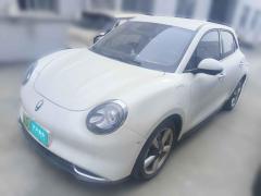 [常州·苏D] 欧拉欧拉好猫2022款 400km标准续航 豪华型 磷酸铁锂