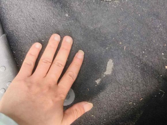 [常州·苏D] 二手smartsmart fortwo2015款 1.0L 52千瓦硬顶灵动版