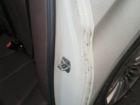 [湖州·浙E] 二手宝马宝马3系2018款 320Li 时尚型