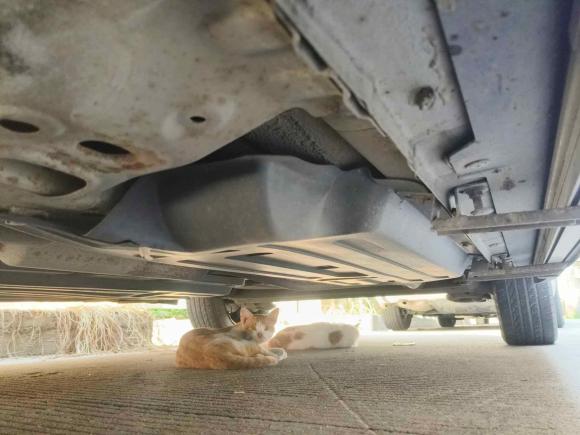 [广州·粤Q] 二手宝骏宝骏5102017款 1.5L 手动舒适型