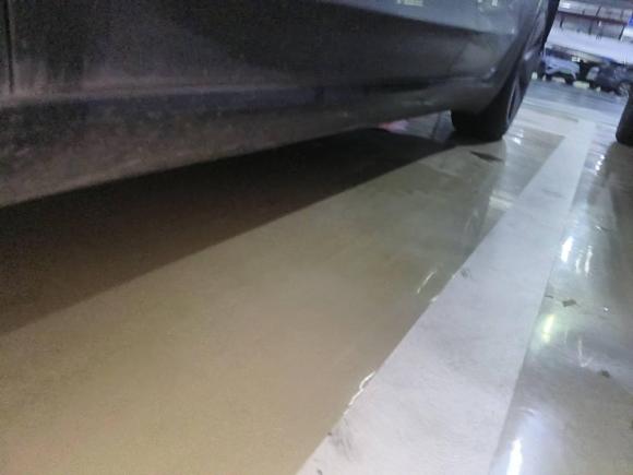 [杭州·浙A] 二手特斯拉Model 32022款 后轮驱动版