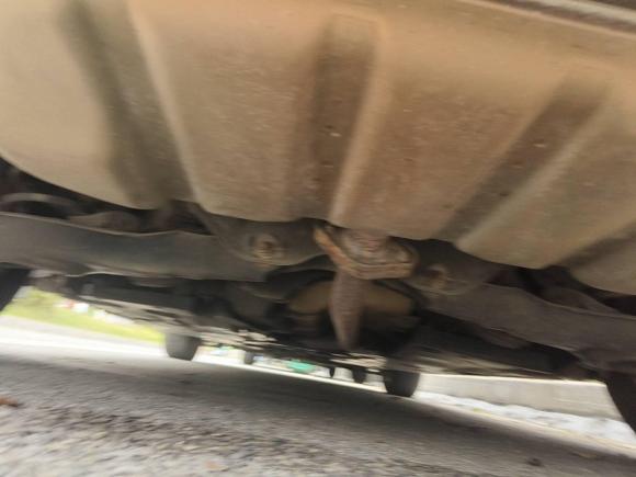 [南昌·赣A] 二手马自达马自达3 昂克赛拉2016款 三厢 1.5L 自动舒适型