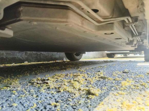 [义乌·浙G] 二手比亚迪海豚2021款 405km 时尚版