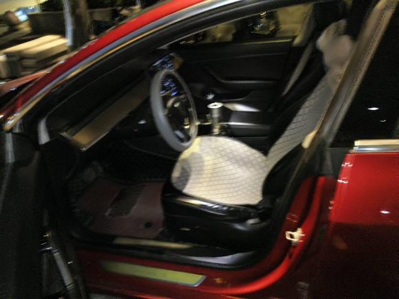 [上海·沪A] 二手特斯拉Model 32019款 标准续航后驱升级版