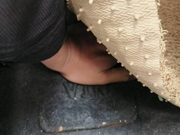 [义乌·浙G] 二手福特福睿斯2015款 1.5L 自动时尚型