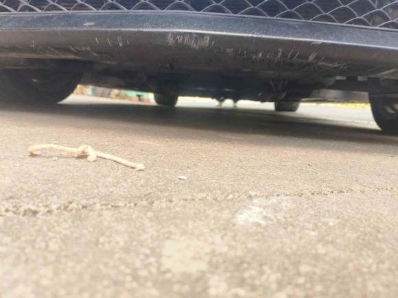 [金华·浙G] 二手奔驰奔驰C级AMG2010款 AMG C 63 动感型增强版