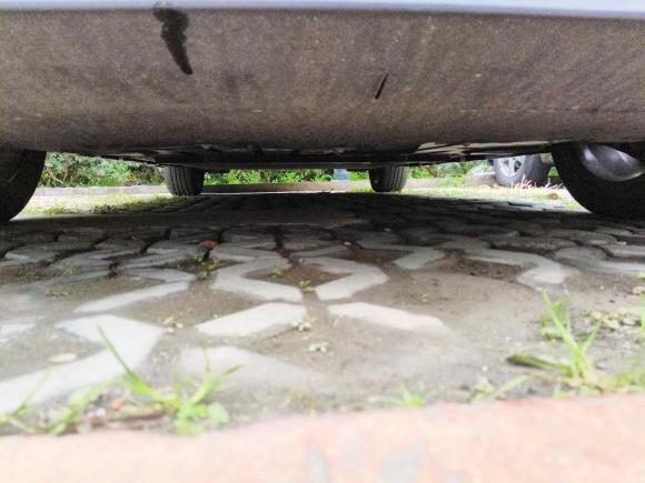 [上海·沪A] 二手比亚迪海豚2021款 401km 骑士版