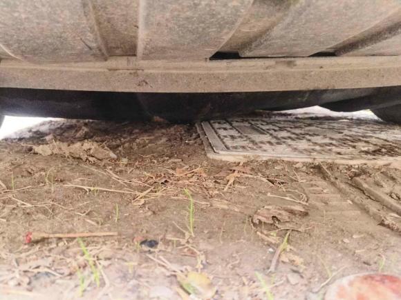 [上海·苏E] 二手福特福克斯2015款 两厢 1.6L 自动舒适型