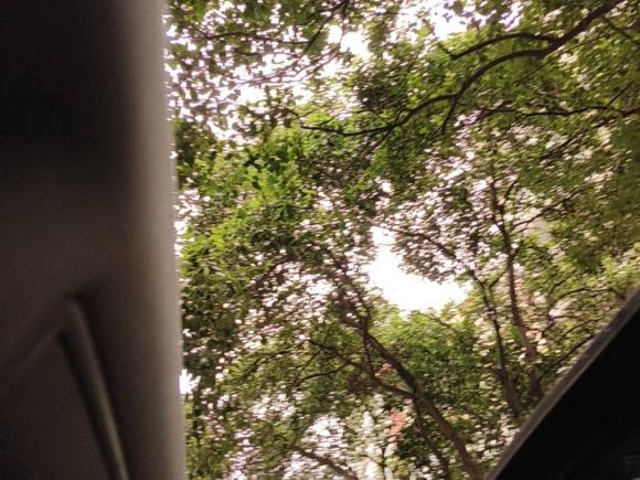 [上海·沪E] 二手斯柯达速派2019款 改款 TSI280 DSG舒适版