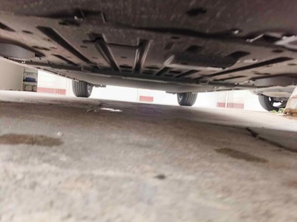 [上海·沪A] 二手比亚迪海豚2023款 420km 时尚版