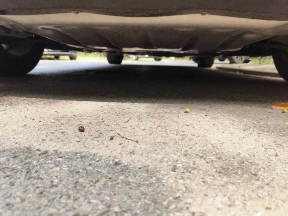 [上海·沪A] 二手宝马宝马3系2014款 328Li 豪华设计套装