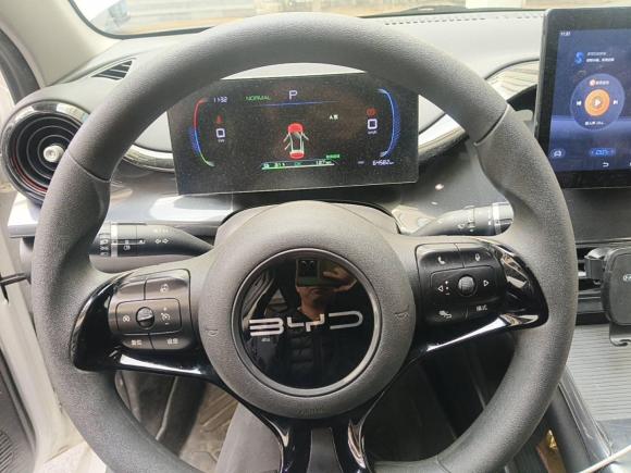 [上海·沪A] 二手比亚迪比亚迪e22023款 舒适型