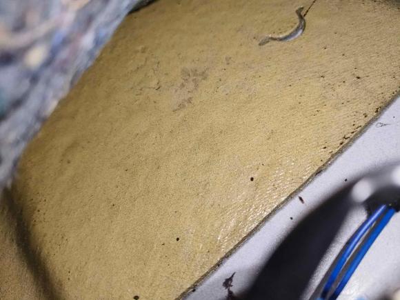 [成都·川A] 二手大众捷达2015款 1.4TSI 自动运动型