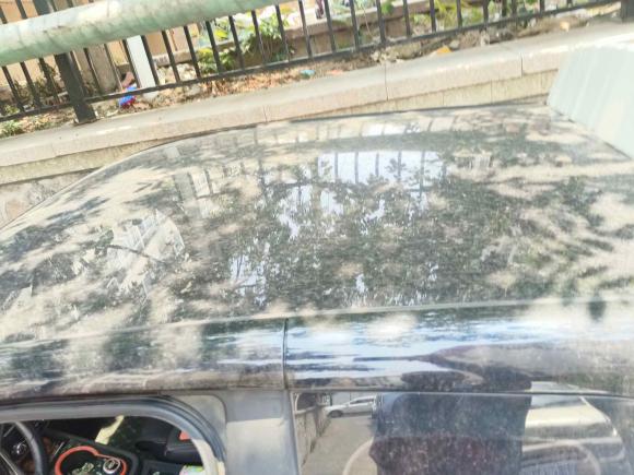 [青岛·鲁B] 二手奇瑞小蚂蚁2019款 4座智享版 30.6kWh