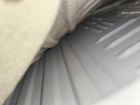 [武汉·鄂A] 二手比亚迪海豚2021款 405km 时尚版