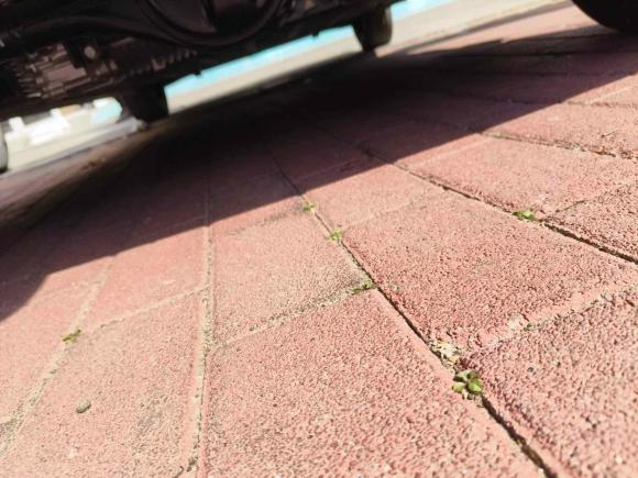 [青岛·无P] 二手五菱汽车宏光MINIEV2025款 四门版 进阶款