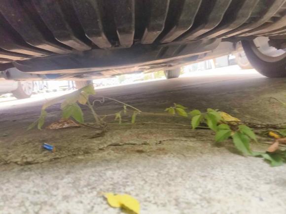 [合肥·贵G] 二手奔驰奔驰C级2015款 改款 C 180 L 运动型