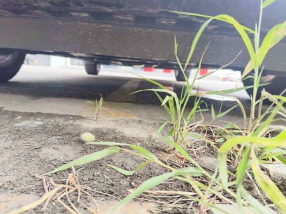 [苏州·苏U] 二手日产轩逸2016款 1.6XE CVT舒适版