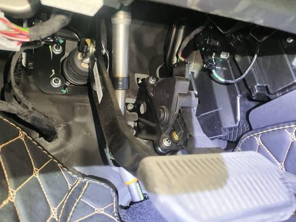 [杭州·浙A] 二手欧拉欧拉黑猫2021款 351km 标准型