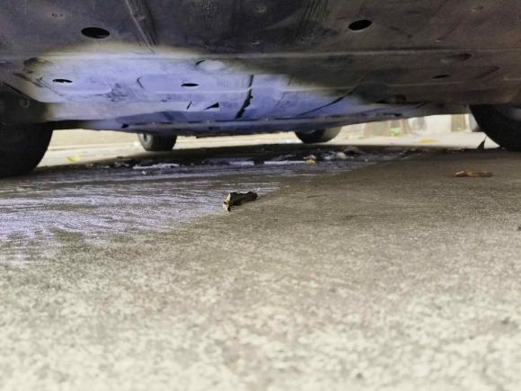 [深圳·豫Q] 二手小鹏小鹏P72020款 670E