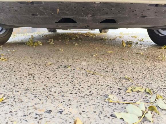 [西安·陕U] 二手奥迪奥迪A4L2020款 40 TFSI quattro 豪华动感型