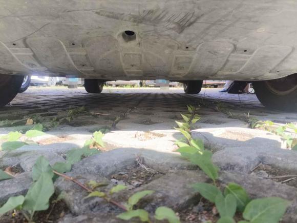 [温州·浙C] 二手起亚智跑2012款 2.0L 自动两驱版GLS