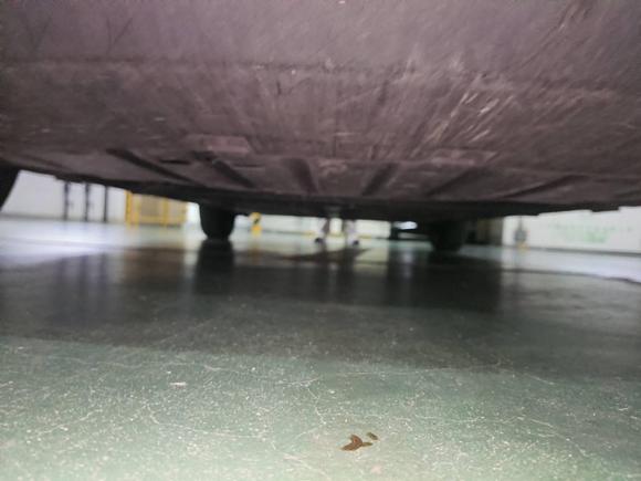 [南京·苏A] 二手比亚迪海鸥2025款 305km 活力版