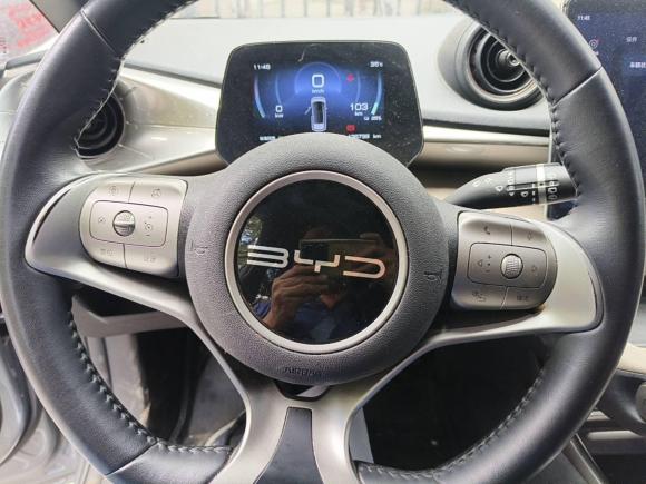 [上海·沪A] 二手比亚迪海豚2023款 420km 自由版