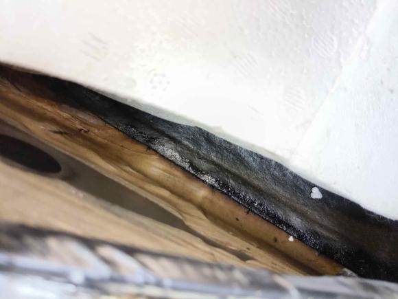 [武汉·鄂A] 二手日产轩逸2019款 1.6XV CVT智联尊享版 国VI