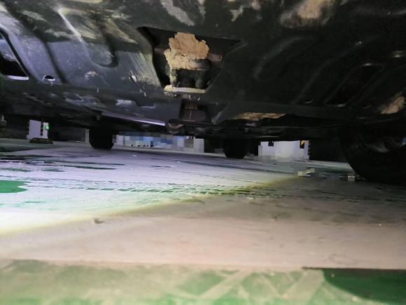 [合肥·皖A] 二手长安逸动2022款 PLUS 蓝鲸NE 1.4T GDI DCT尊贵版