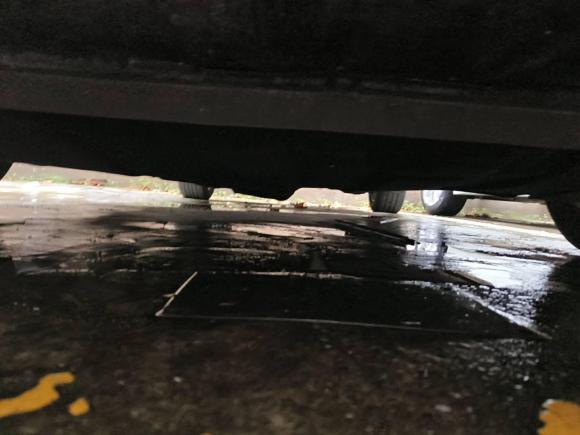 [合肥·皖A] 二手福特福睿斯2015款 1.5L 手动时尚型