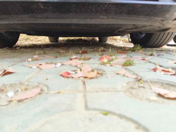 [合肥·皖A] 二手奥迪奥迪A6L2020款 40 TFSI 豪华动感型