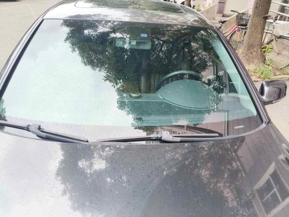 [上海·沪E] 二手大众辉腾2011款 3.6L V6 5座加长Individual版