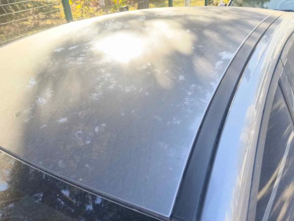 [青岛·鲁B] 二手比亚迪秦PLUS2024款 荣耀版 DM-i 55KM领先型