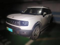 [芜湖·皖B] 捷途山海捷途山海T12024款 150km 向海