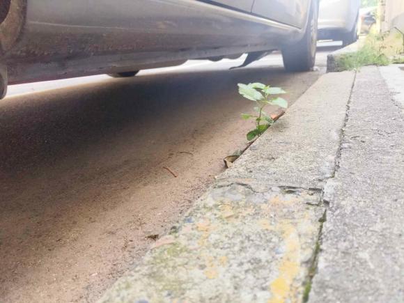 [上海·沪N] 二手本田飞度2011款 1.3L 自动舒适版