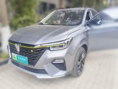 [上海·沪A]荣威&nbsp;&nbsp;荣威RX5新能源&nbsp;&nbsp;2020款 ePLUS 国潮荣麟豪华版