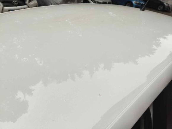 [广州·黑E] 二手大众Polo2014款 1.4L 手动风尚版