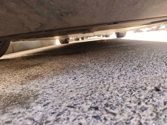 [上海·沪A] 二手特斯拉Model 32020款 标准续航后驱升级版