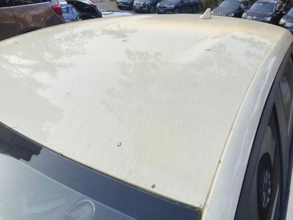 [广州·粤B] 二手比亚迪海豚2023款 420km 自由版