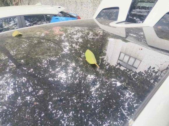 [深圳·甘L] 二手长安长安UNI-T2020款 1.5T 尊贵型