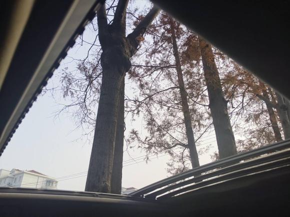 [上海·沪C] 二手奔驰奔驰B级2009款 B 200 时尚型