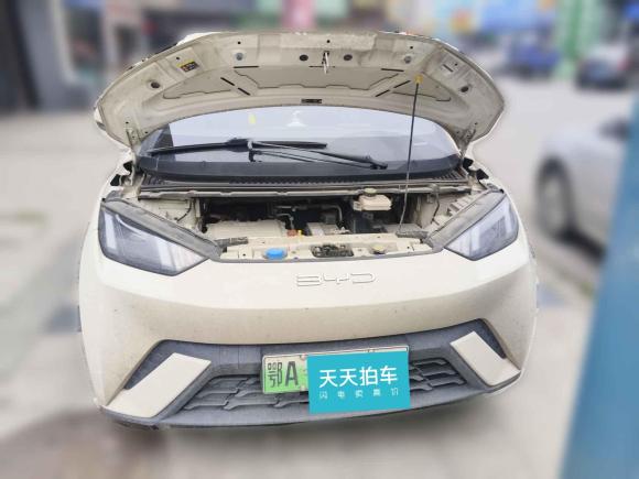 [武汉·鄂A] 二手比亚迪海鸥2023款 飞翔版