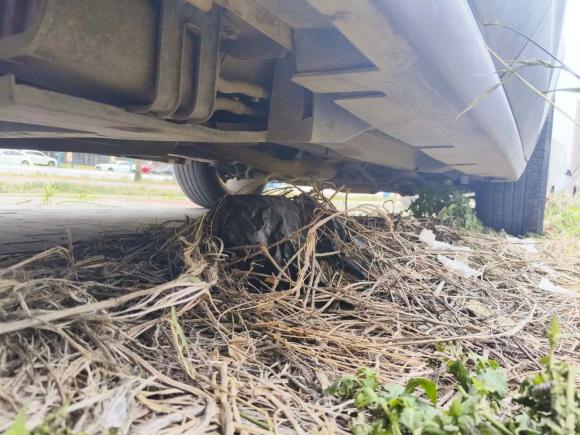 [西安·陕A] 二手陆风陆风X72016款 2.0T 全景尊贵版