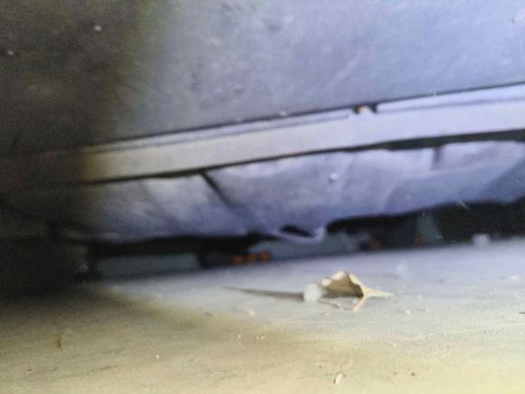 [杭州·浙B] 二手福特福克斯2012款 两厢 1.6L 手动风尚型