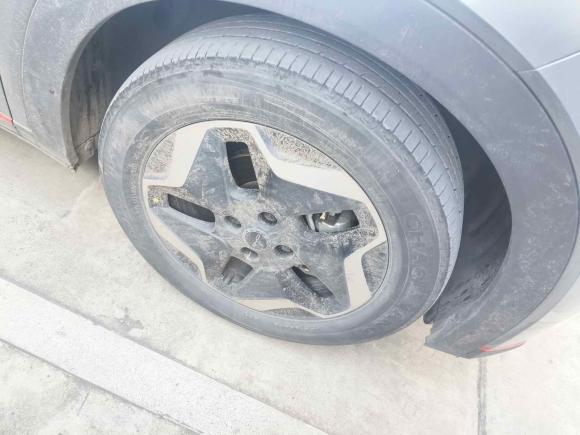 [上海·沪A] 二手比亚迪海豚2021款 405km 时尚版