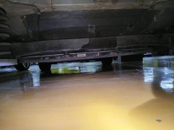 [温州·浙C] 二手比亚迪海豚2021款 405km 时尚版