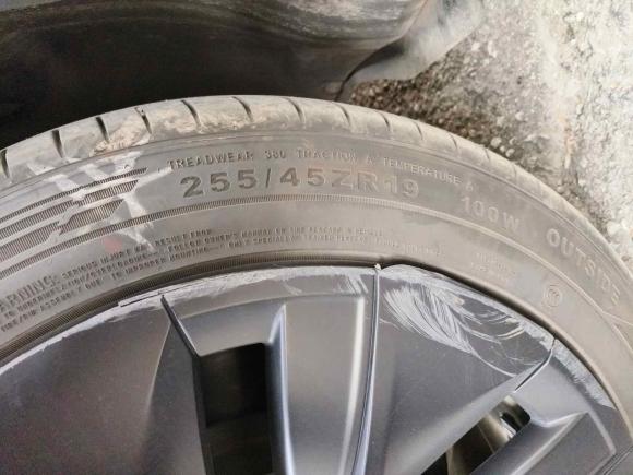 [佛山·粤A] 二手特斯拉Model Y2022款 后轮驱动版